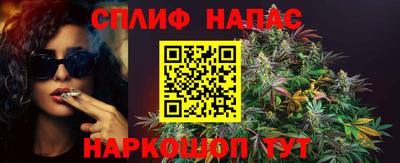 стаф Белореченск