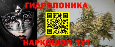 мдпв Аша