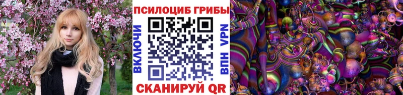 darknet как зайти  Находка  Псилоцибиновые грибы GOLDEN TEACHER  купить наркоту 